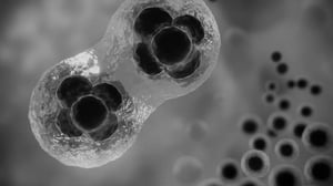 banner-virus-papiloma