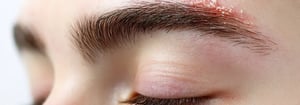 banner1