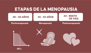 etapas menopausia